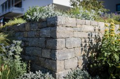 Muschelkalk allseits gespalten