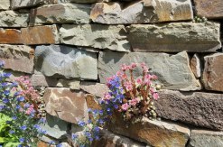 Mauersteine Grauwacke allseits gespalten