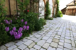 Muschelkalk Oberseite gesägt