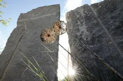 Granit Oberflaeche naturrau