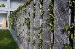 Gneis Oberfläche gespalten